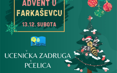 Učenička zadruga Pčelica poziva vas na prodaju rukotvorina na Adventu u Farkaševcu