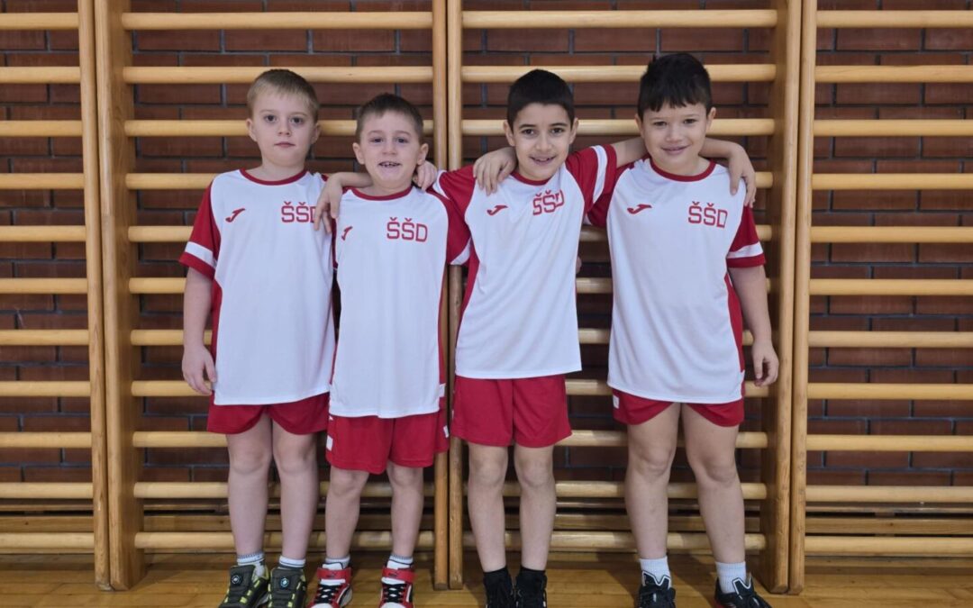 Županijsko natjecanje u hrvanju